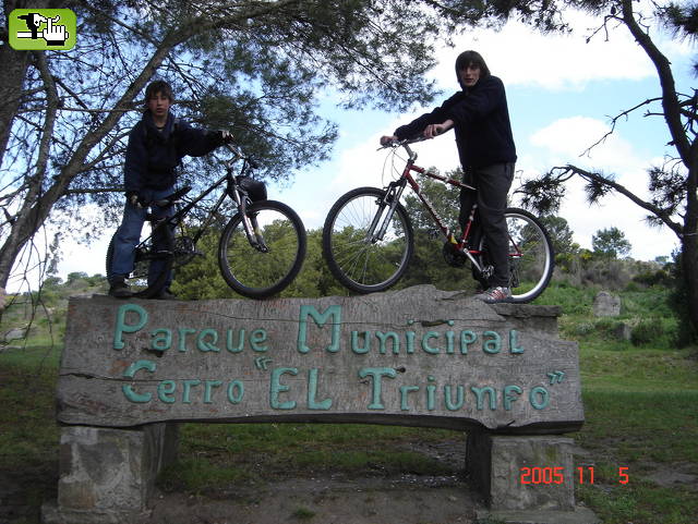 free ride