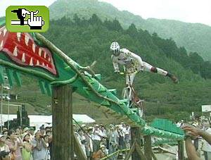 buena drago