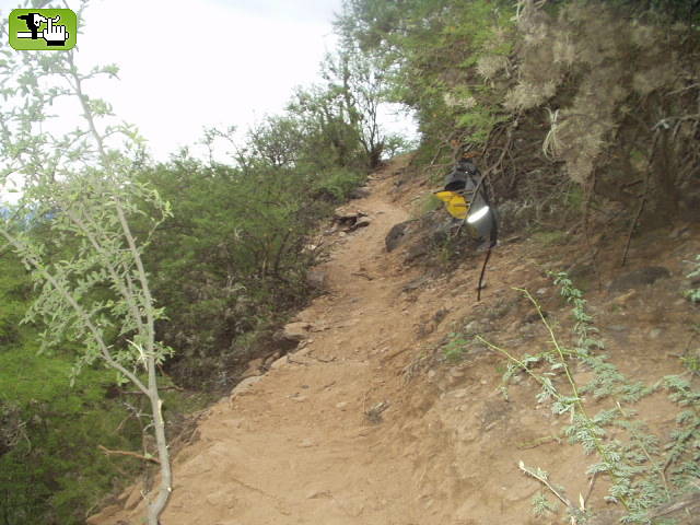 dH cAtaMarcA -