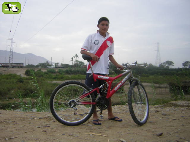  silvestre