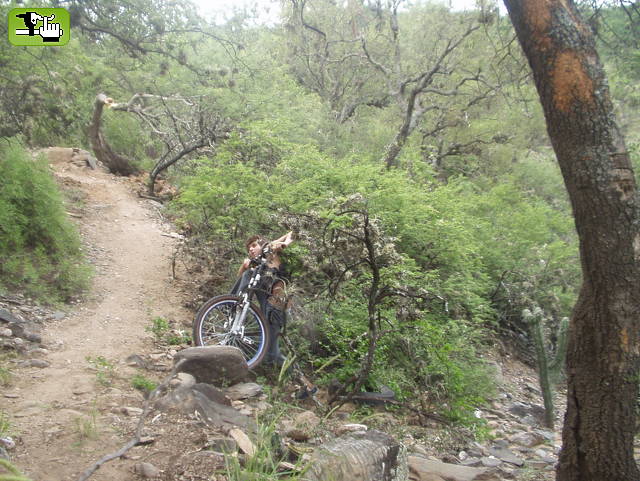 dh - 2006