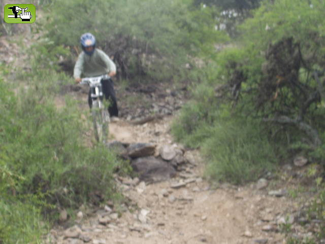 dh - 2006