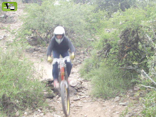 dh - 2006