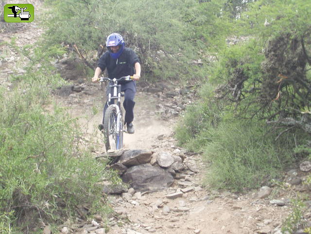 dh - 2006