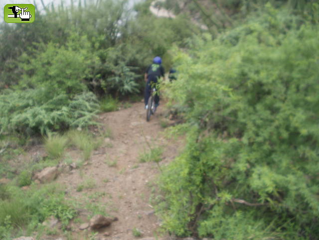 dh - 2006