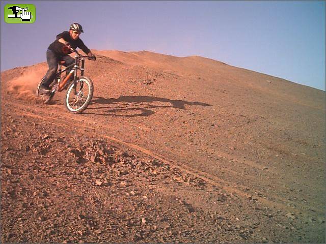 arica