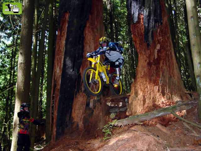 freeride DH