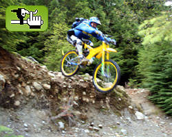 para todo el mundo FREERIDE