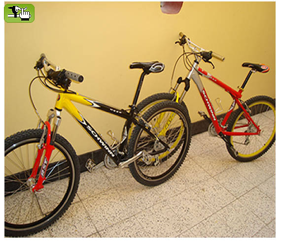 bikes