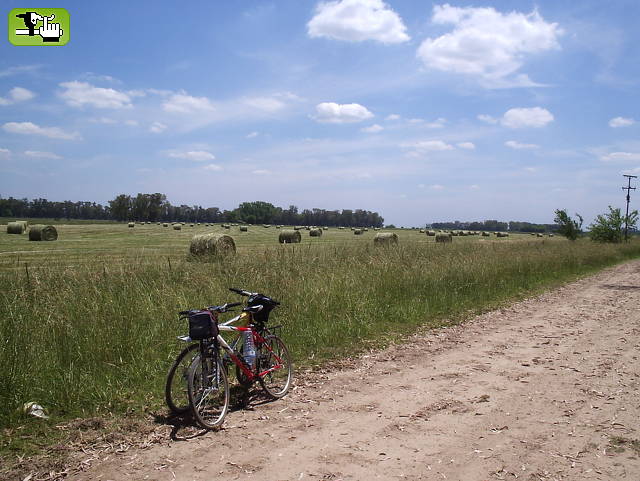 Por los campos del Sud