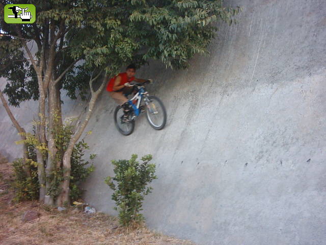 MIren esto