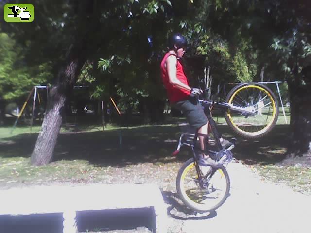 probando