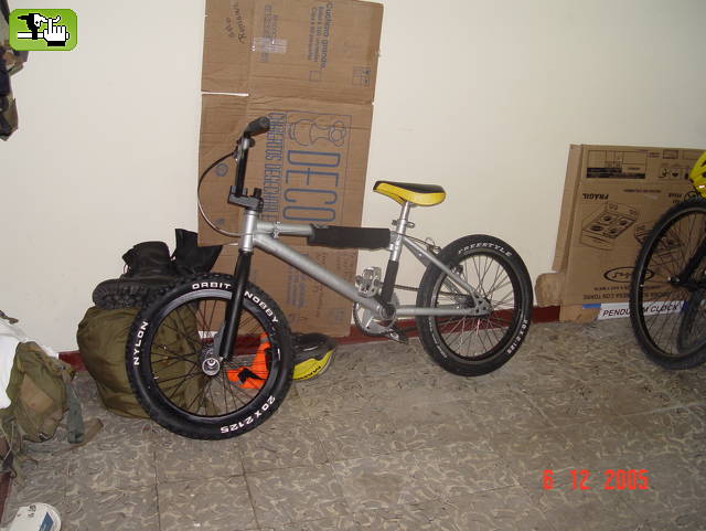 freestyle melgar tolima