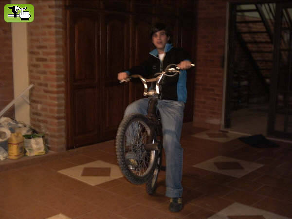 Alpedo