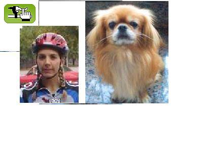 Pequines