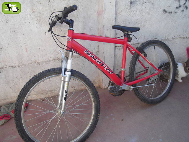caballo