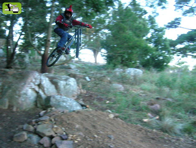 Punk DH tandil