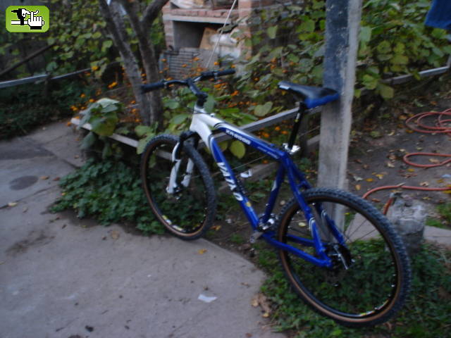 mi joya