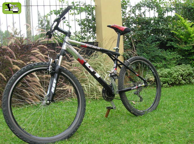 alejolynch
