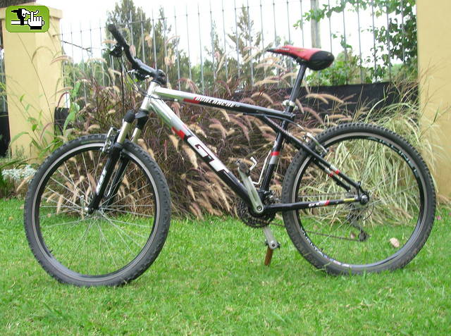 alejolynch