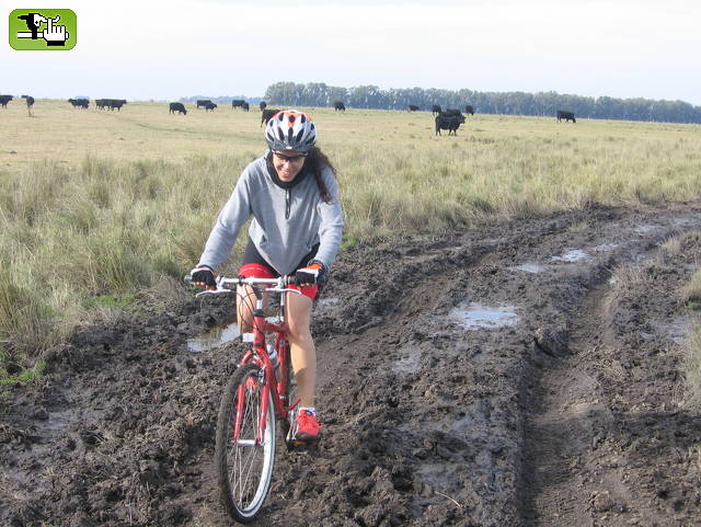 GRUPO LA LOMA (LA PLATA)