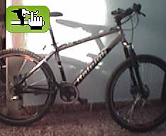 M50dx foto2