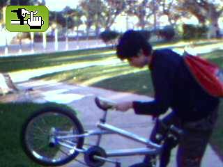 biker boyz