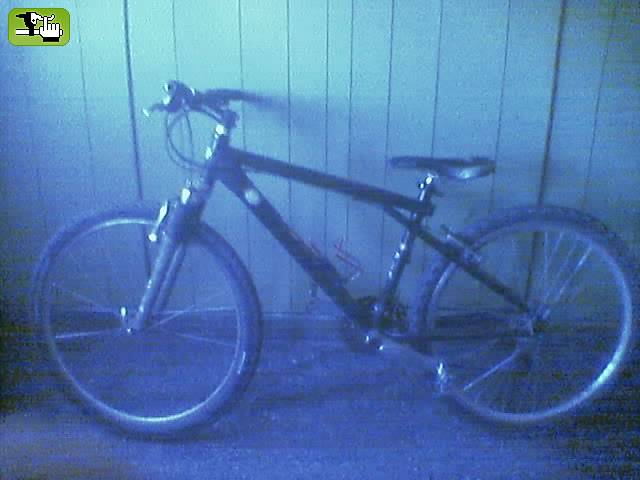 MI LOVE