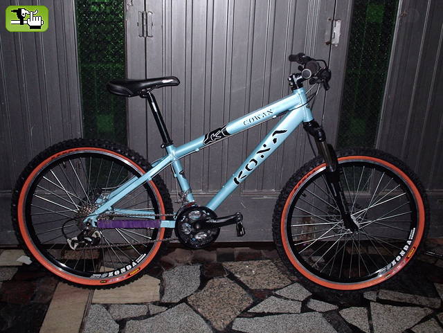 KONA COWAN OPINEN...