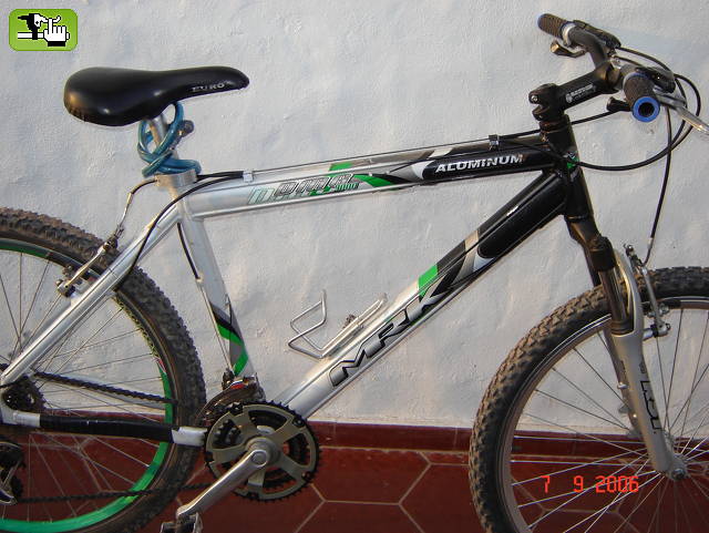 alfonsin