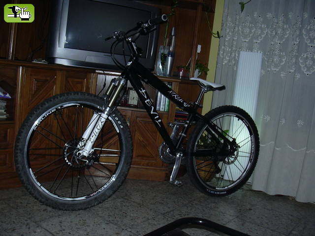 Una hermosa compañera