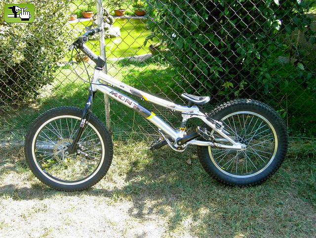 monty219