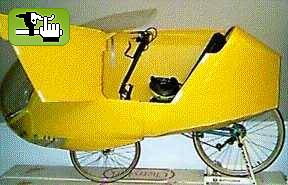 OTRO RECUMBENT CON CARENADO