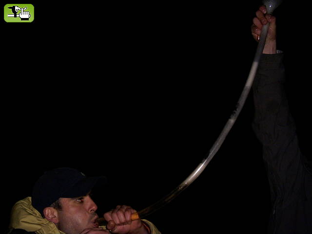 Coronacion Regional Andina Bariloche 2006