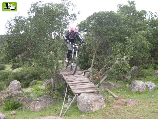 fallo