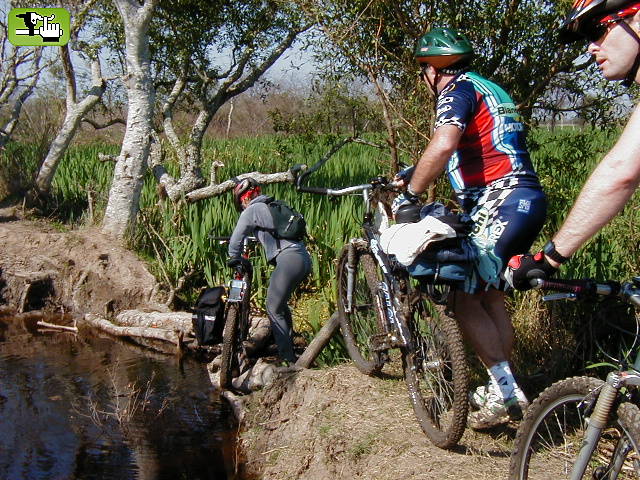 SENDEROS EN LA SELVA DE HUDSON.