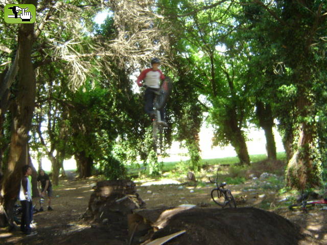 vuelo precoz