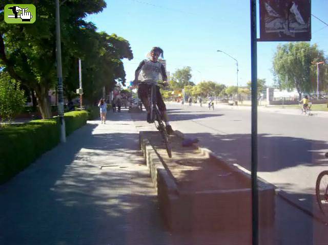 Nacho en un cantero