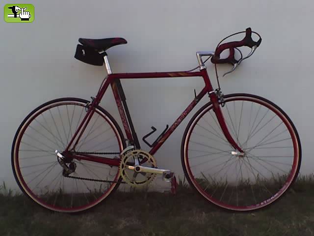 Mi rutera