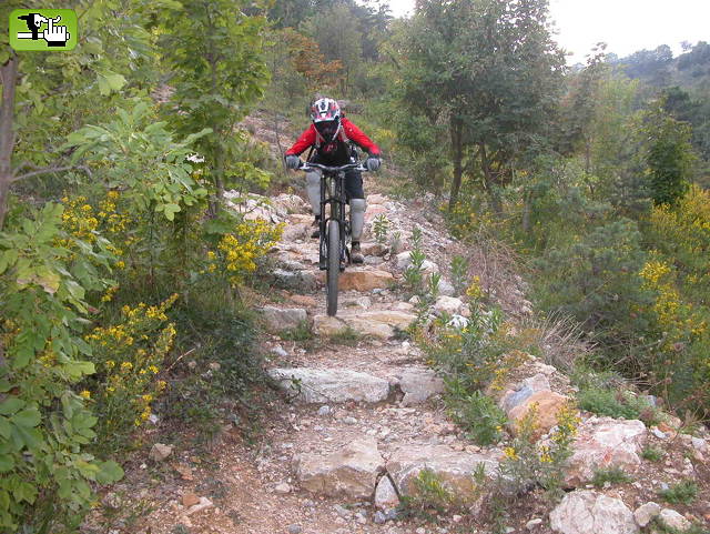 freeride