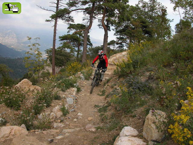 freeride