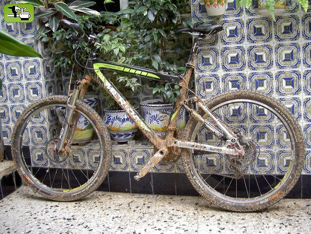 mi burra