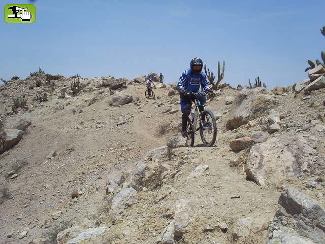 TORATA ALTA MOKEWA