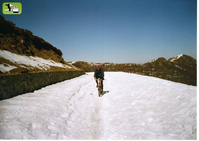 nieve