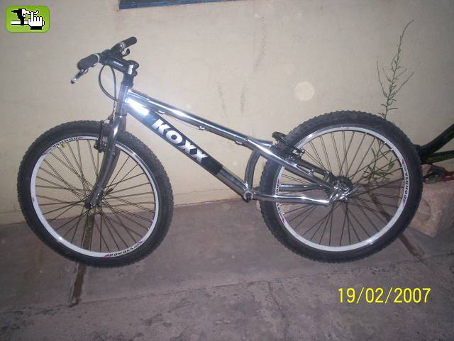 koxx