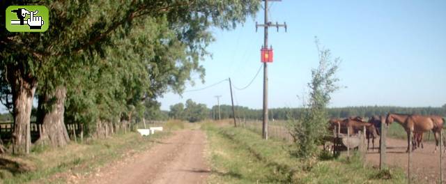 Pedaleando por Open Door