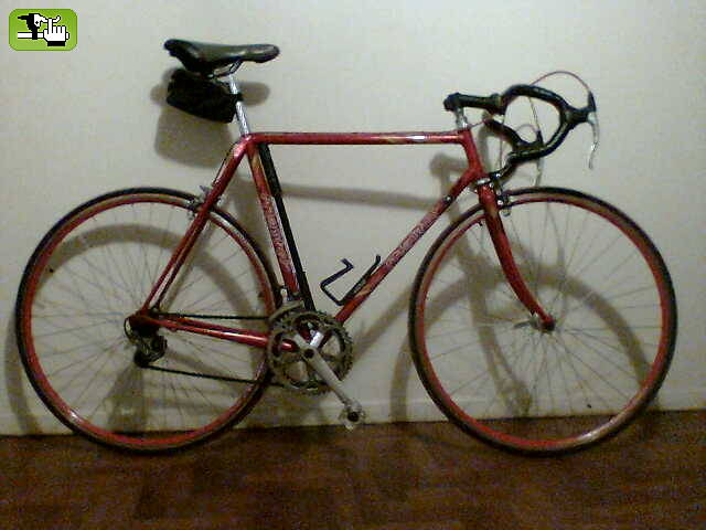 Mi rutera