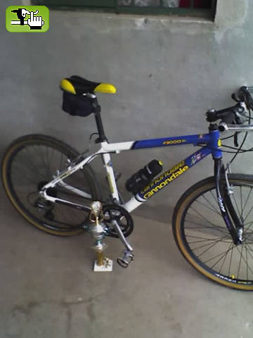 "Mi Caballito"