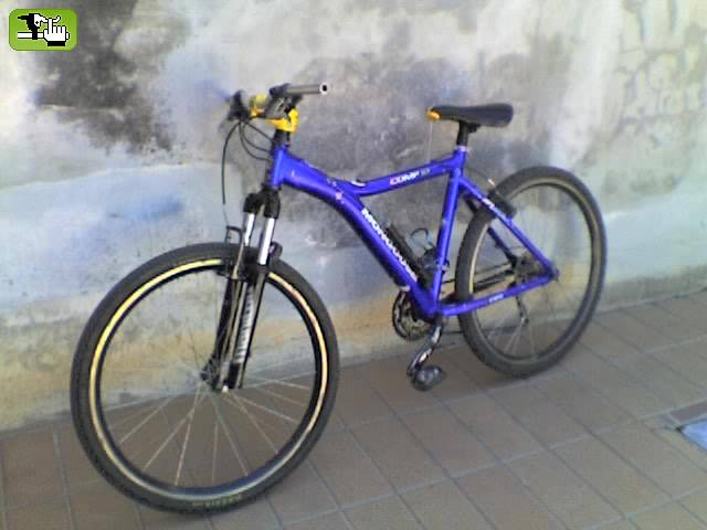bebo
