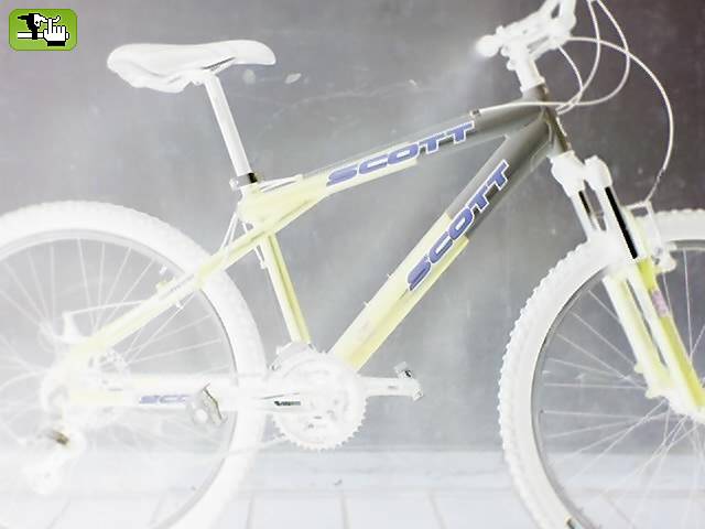 LA SCOTT 7
